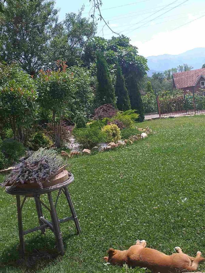 Villa Silva Ohrid Exterior foto