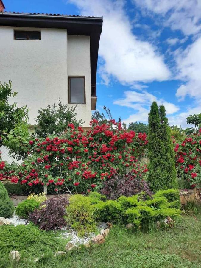 Villa Silva Ohrid Exterior foto